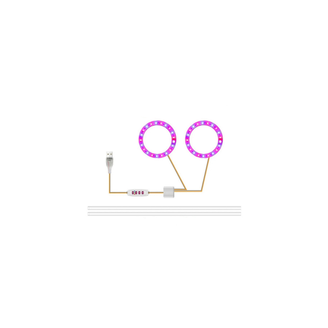 LED Ringlichter