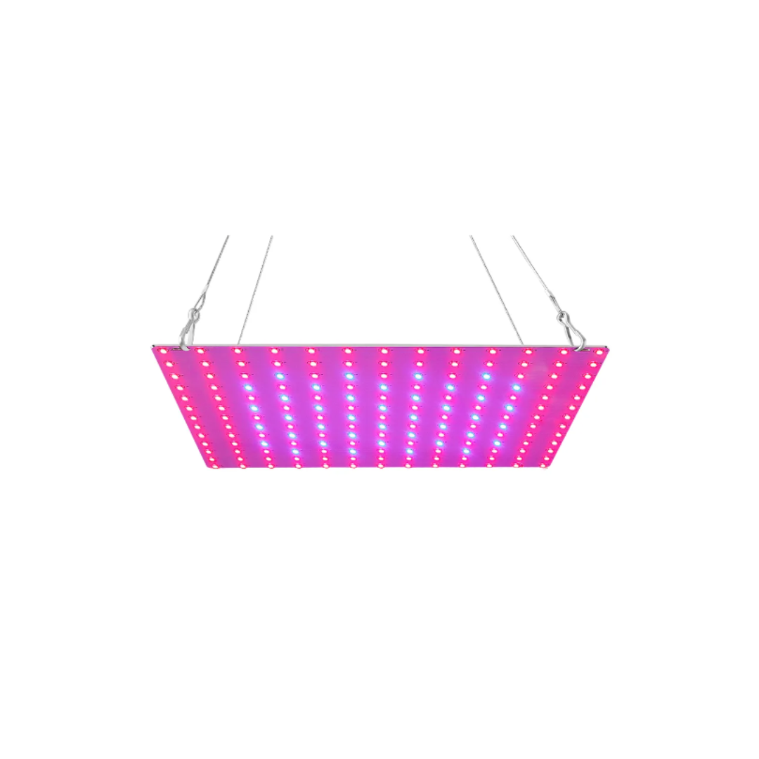 Cannabis MasterGrow LED